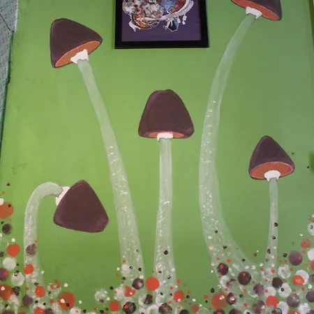 Auberge de jeunesse Fun House *