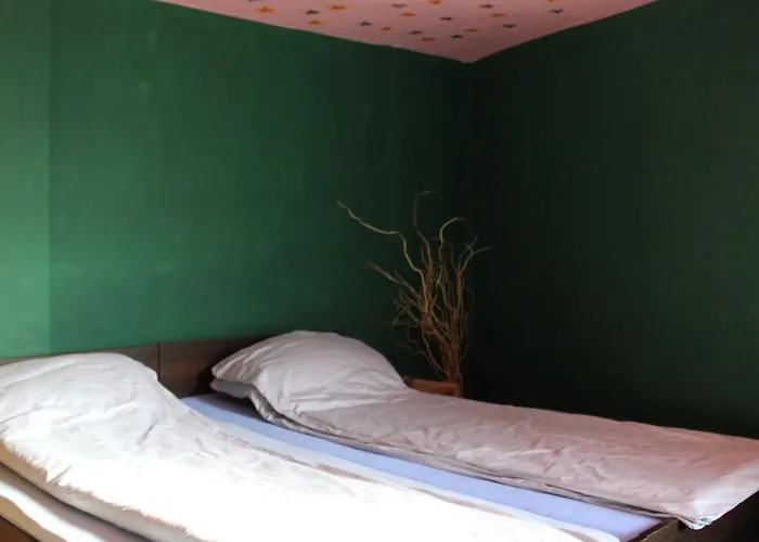 Albergue Fun House Bucareste