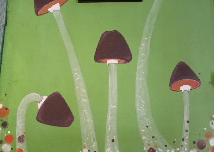 Albergue Fun House *